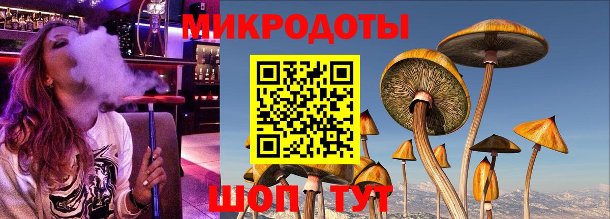 Бийск  Псилоцибиновые грибы Psilocybine cubensis  Вход с VPN 